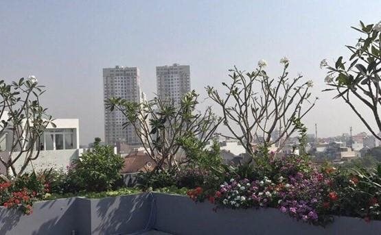 serviced apartment for rent (7)